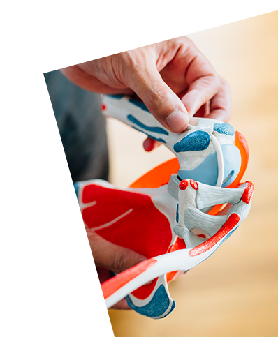 Arthroskopie der Schulter an anatomischem Gelenkmodell – minimalinvasive Schulterchirurgie bei OMOCURA